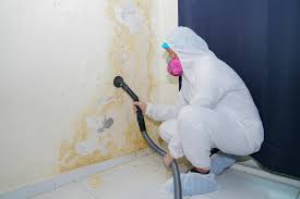  , USA Mold Prevention & Removal Pros